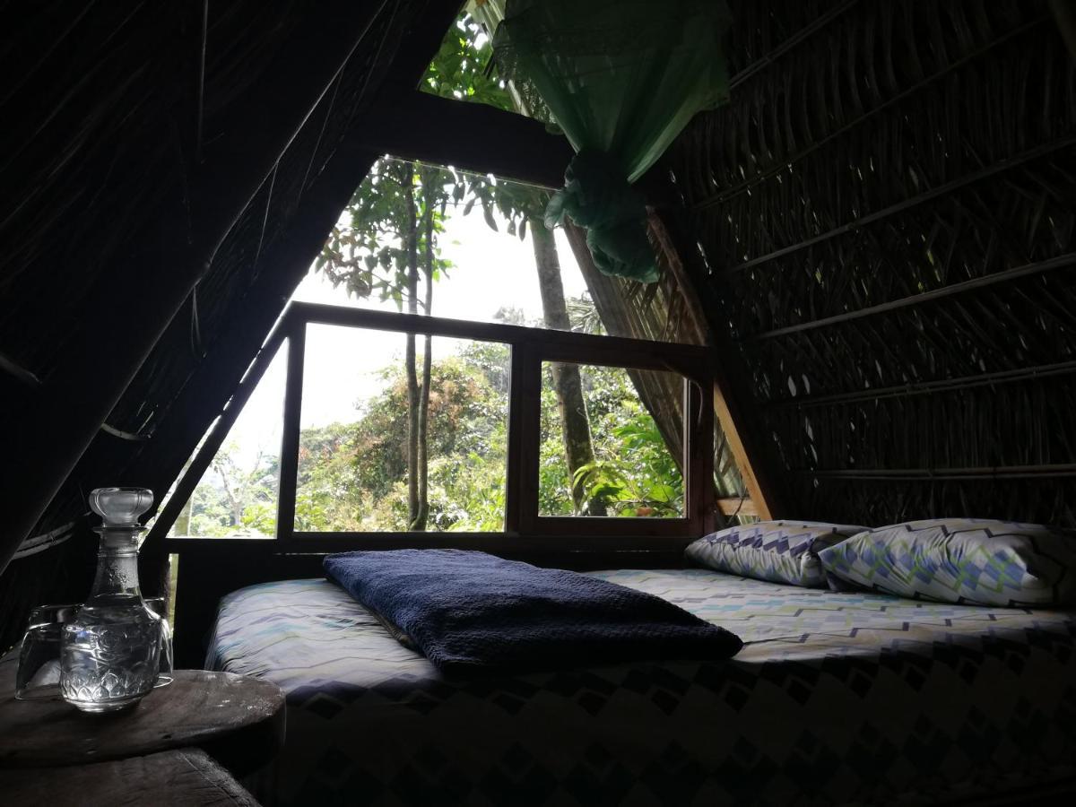 Готель Jungle Roots Тена Екстер'єр фото